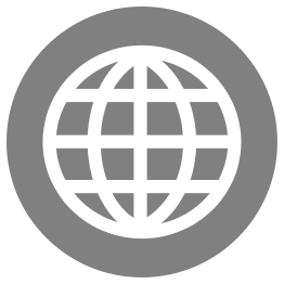 icon-website